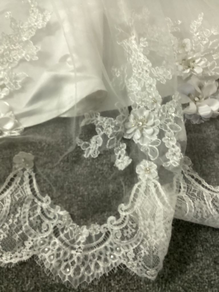Da- Vinci wedding dress size 8/10 sample dress