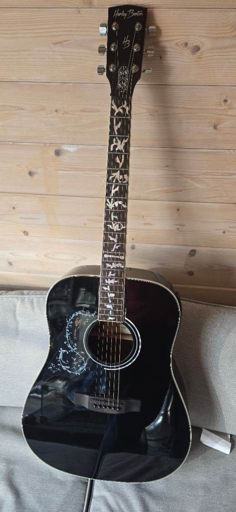Electric ecoustic guitar