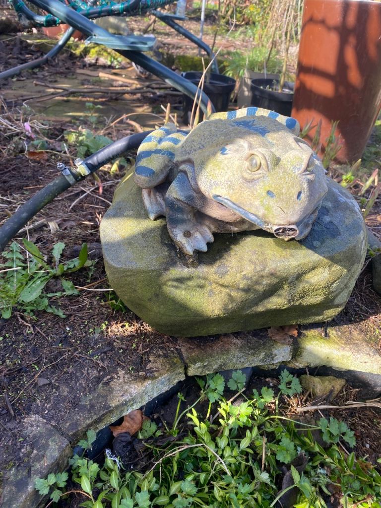 Garden Pond Frog Fountain