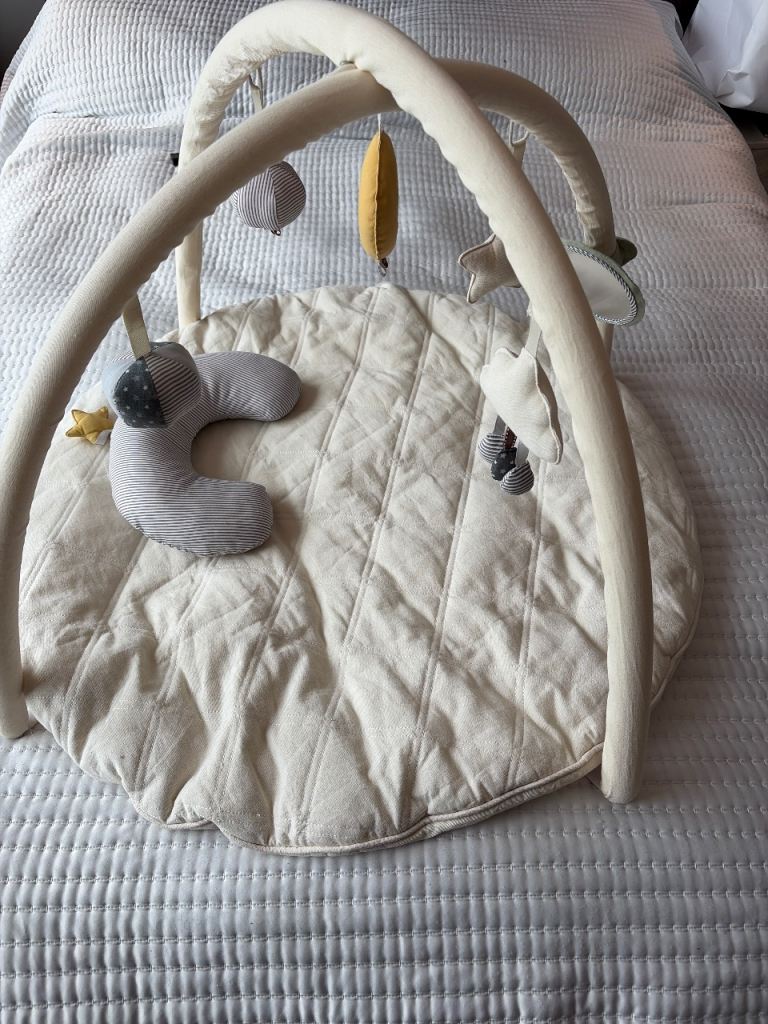 Luna Baby Play Mat & Activity Gym