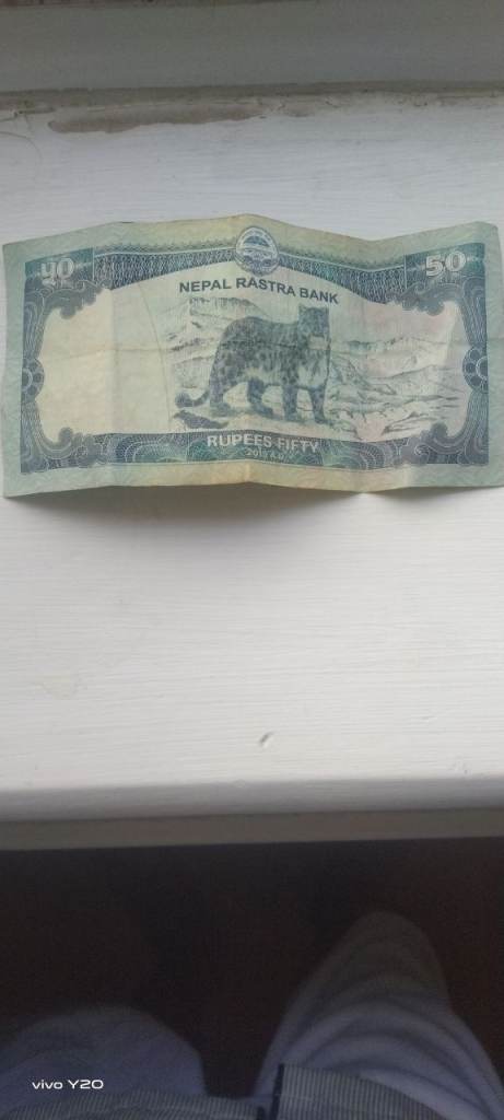 Nepali rs 50 money