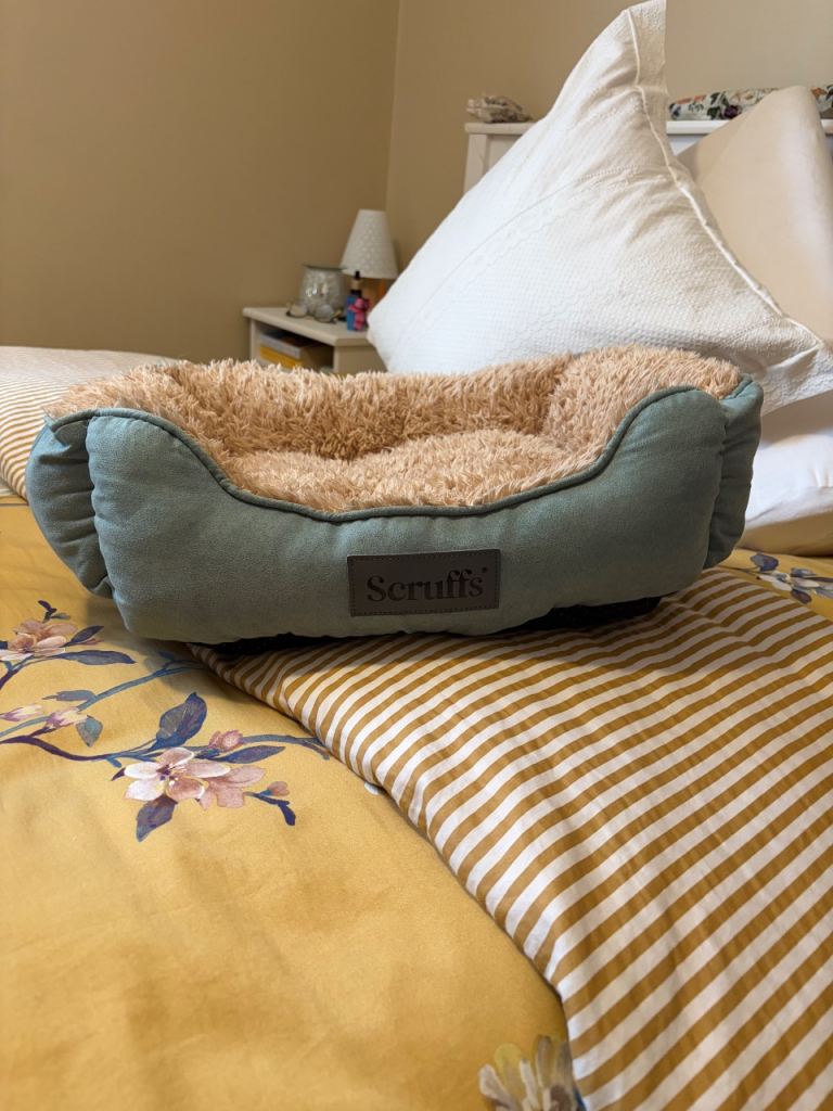 Small dog bed