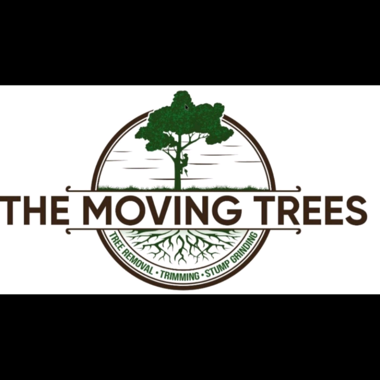 Tree removal tree surgeon tree cutting tree reduction stump removal 