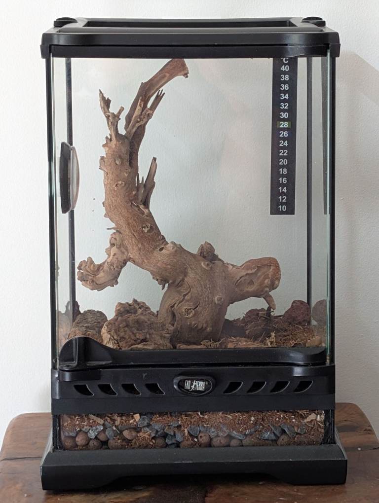 Exo Terra Terrarium/ Paludarium 