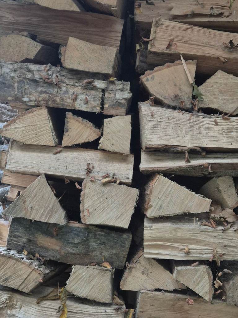 LOGS