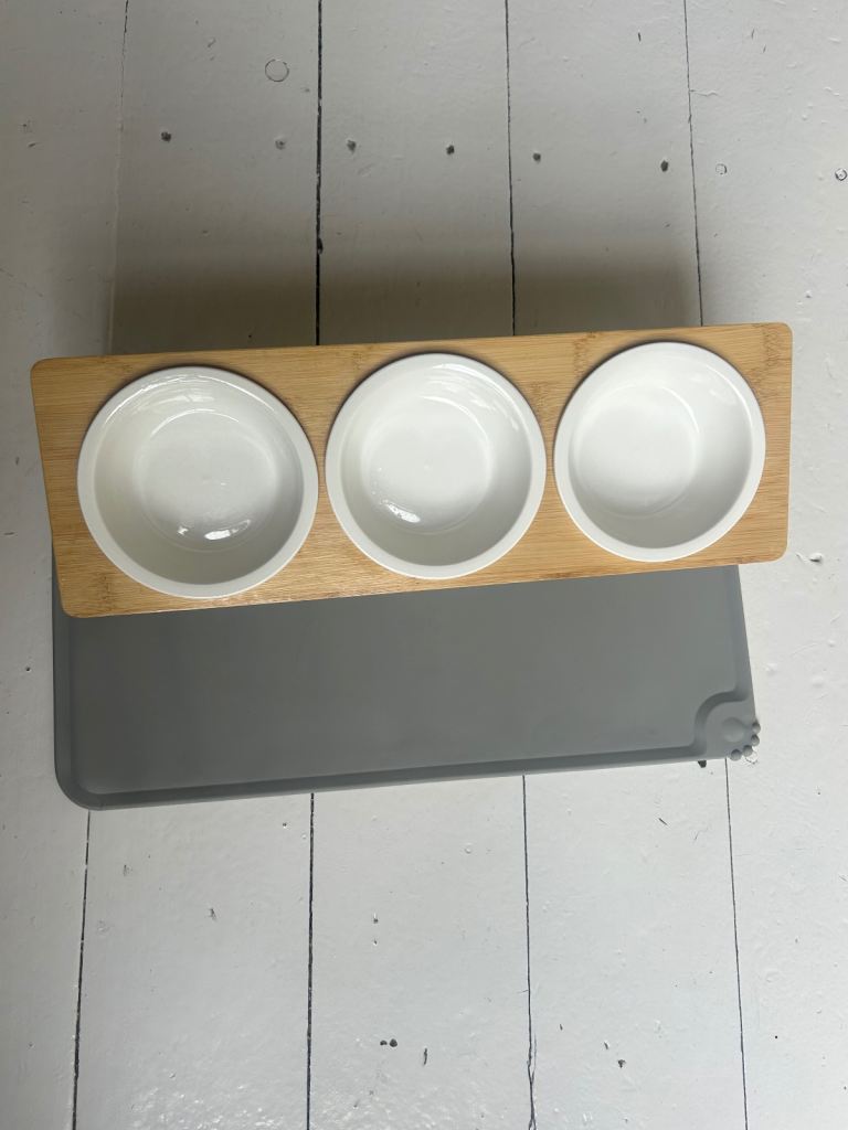 Cat or dog eating station 