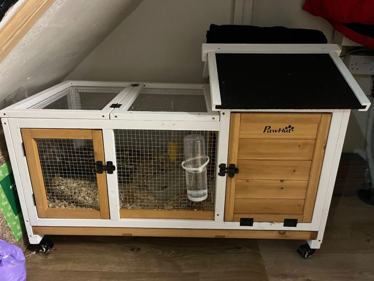 Guinea pig and rabbit hutch