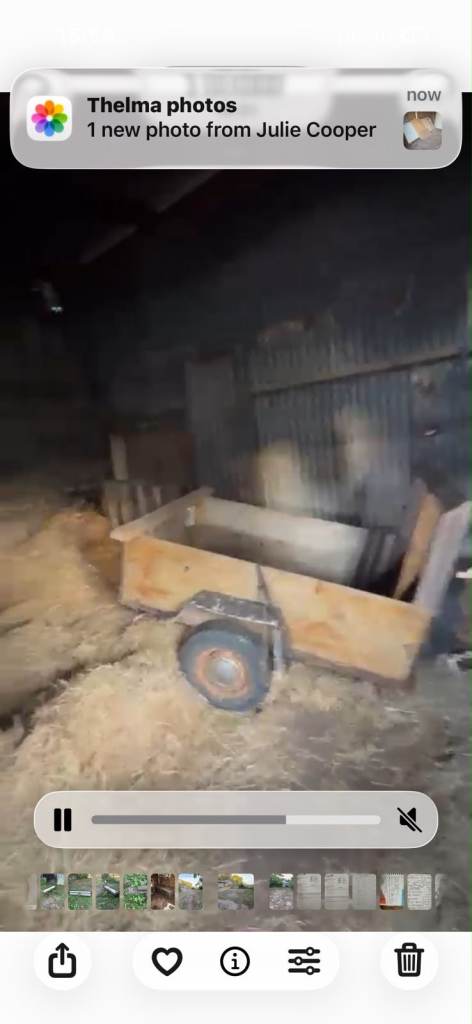 Small wooden trailer
