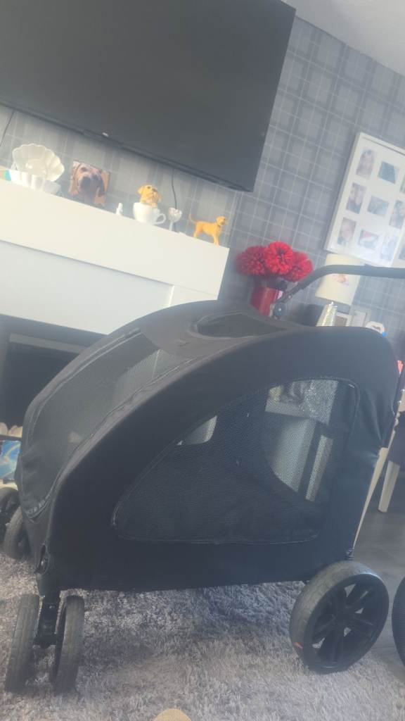 Xl dog buggy
