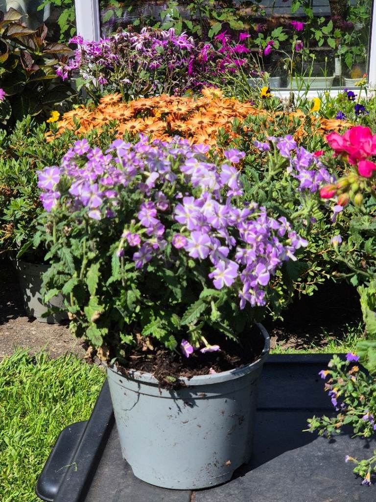 Do you want a free charity gardener 