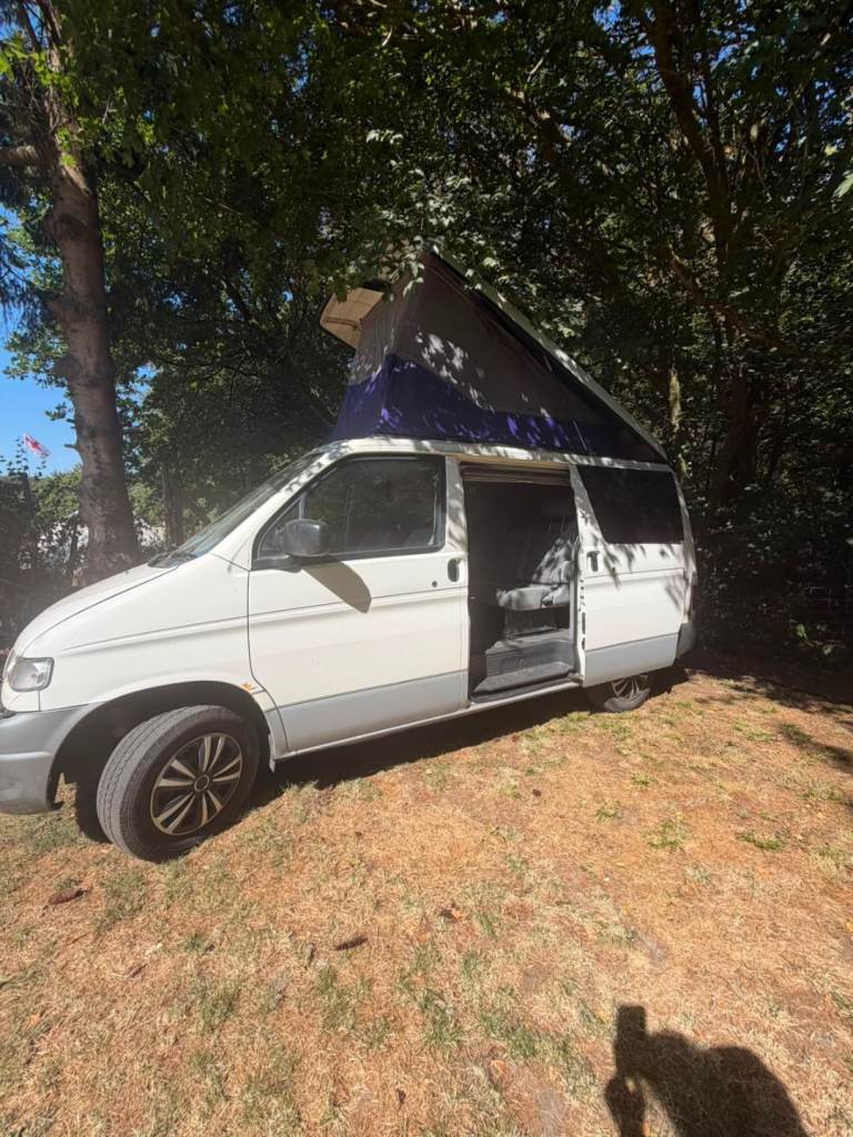 Ford, 1996, 2490 (cc)
