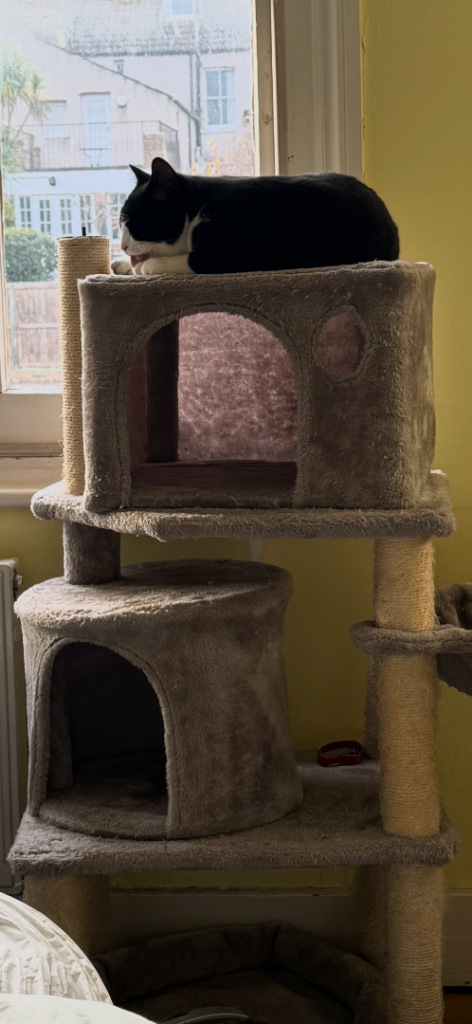 Cat tree