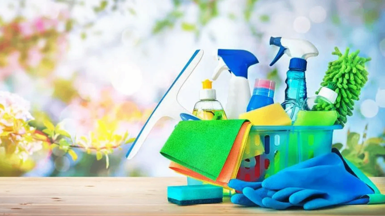 House Cleaner Available