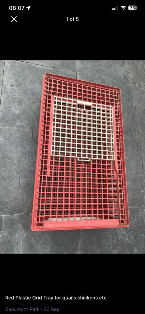 Red Plastic Grid Tray for quails chickens etc