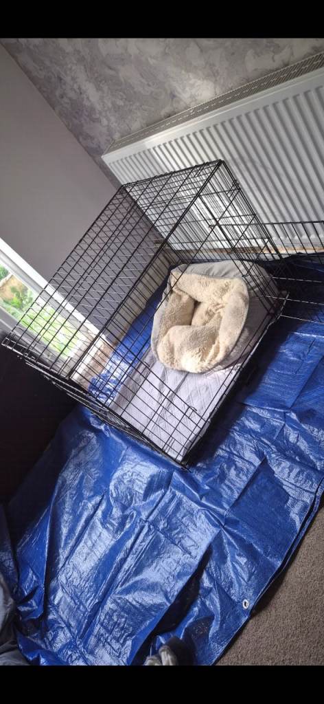Large dog crate
