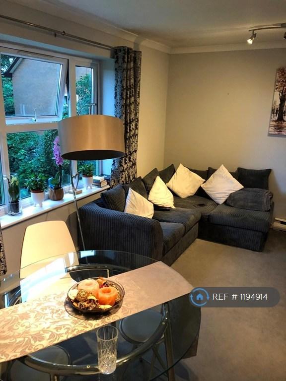 1 bedroom flat in Bovingdon Court, Bovingdon, HP3 (1 bed) (#1194914)