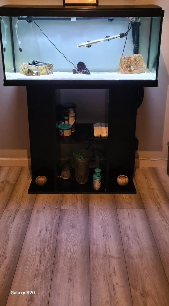 aquarium and stand