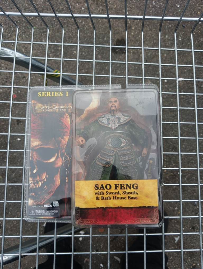 Pirate of the Caribbean series one Pintel and sou Feng 