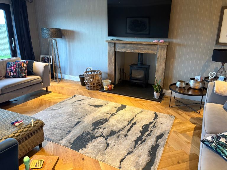 Easy Living Aurora Quartz Rug 160x230cm – Great Condition
