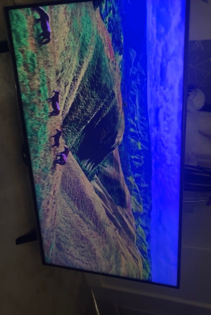 Large Flat Screen TV - Good Condition