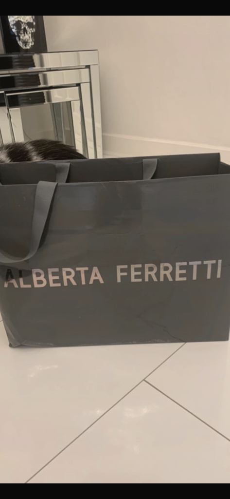 image for BNIB Alberta Ferretti Shoes