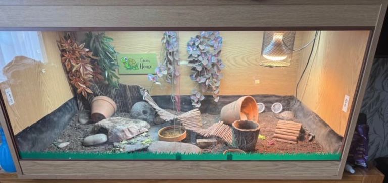 4ft viv