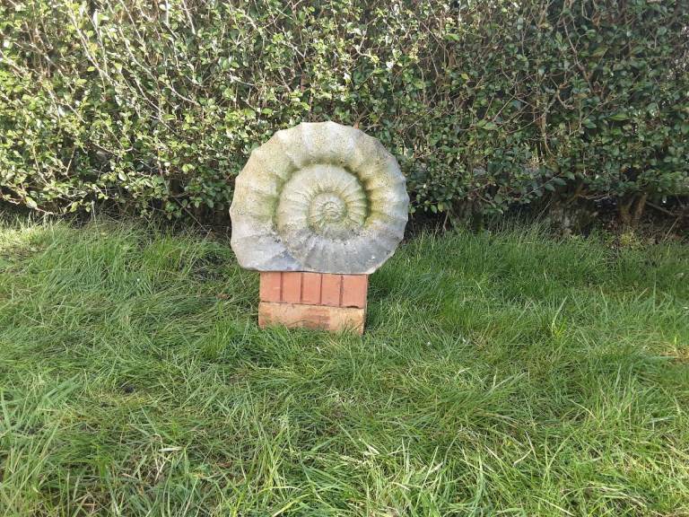 LARGE UNUSUAL CERAMIC FÒSSIL ORNAMENT