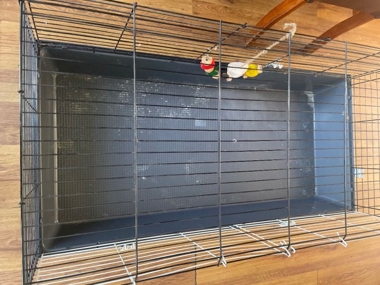 Indoor rabbit/guinea pig cage