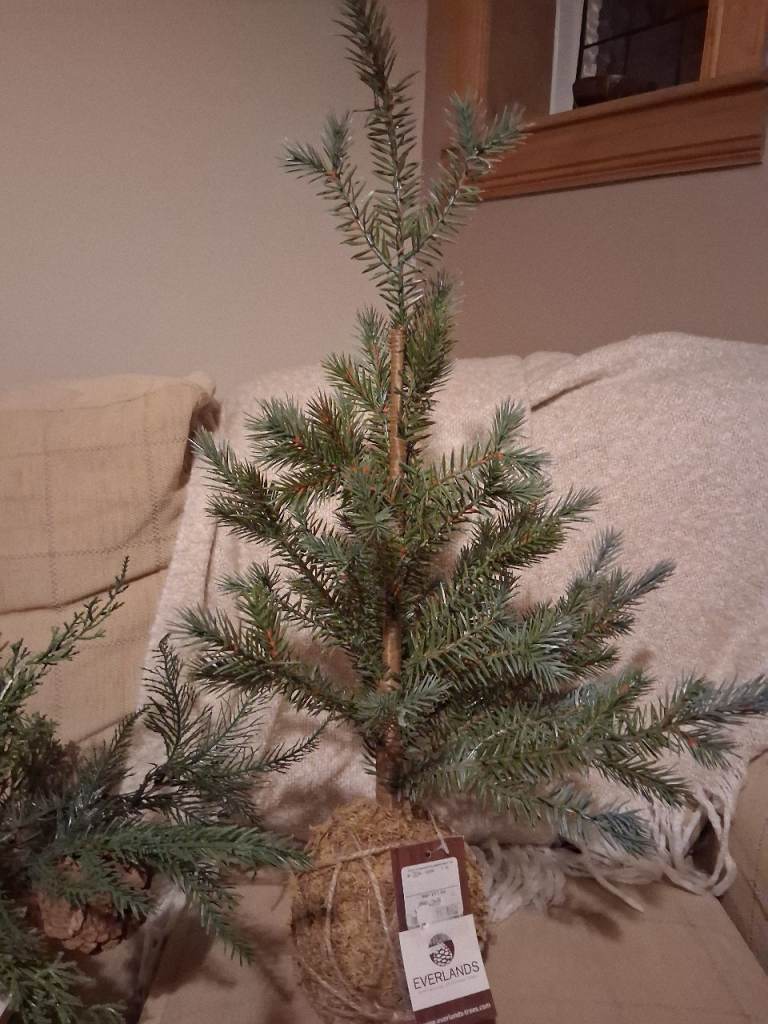 Christmas decorations 