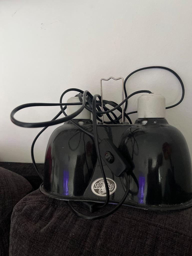 Reptile enclosure lamp 