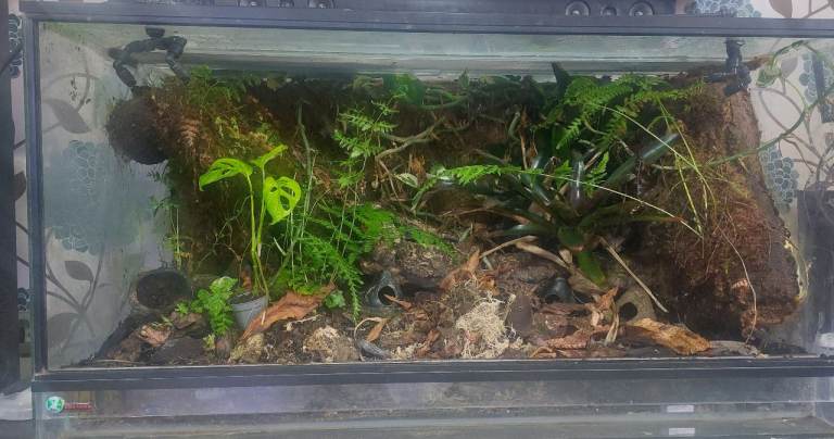 DMS Custom Built Vivarium