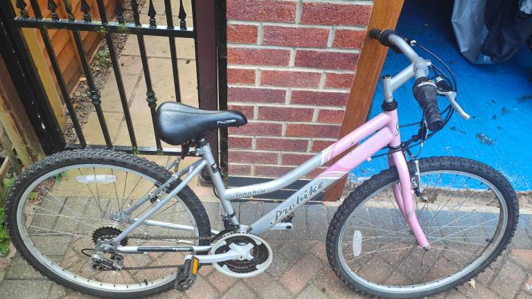 Probike Sapphire Girls/Ladies Mountain Bike Pink & Silver Teanager/Ladies * Leeds LS17 *