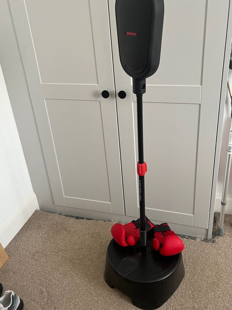 Boxing Gloves Set