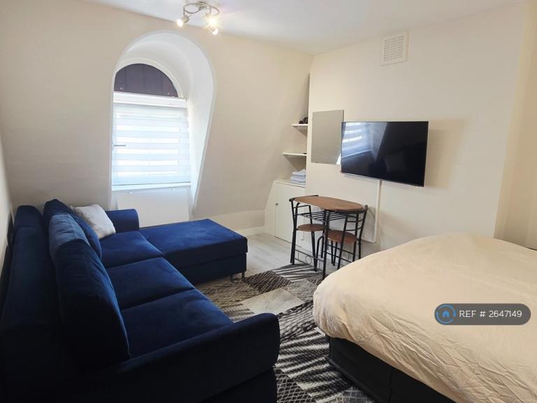 Studio flat in Ebury Bridge Road, London, SW1W (#2647149)