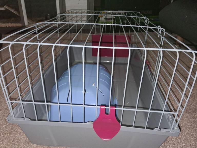 Rabbit cage 
