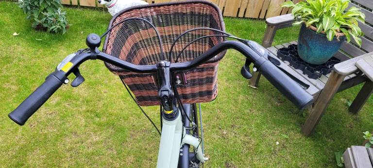 Ladies LIV Flourish FS 2