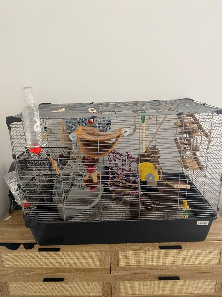 Free Medium size pet cage 