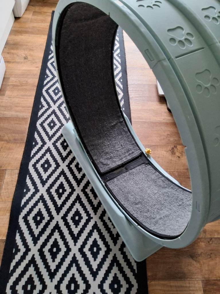Large Cat Exercise Wheel with Paw Print Design