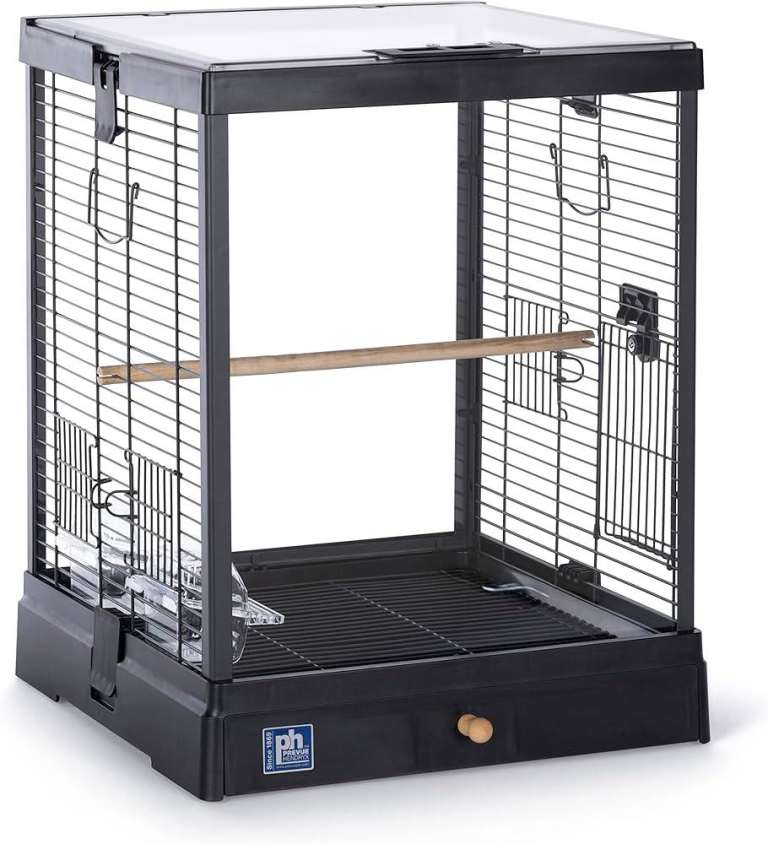 Prevue Pet Products Clear View Glass Bird Cage Crystal Palace for Small Birds - black Frame