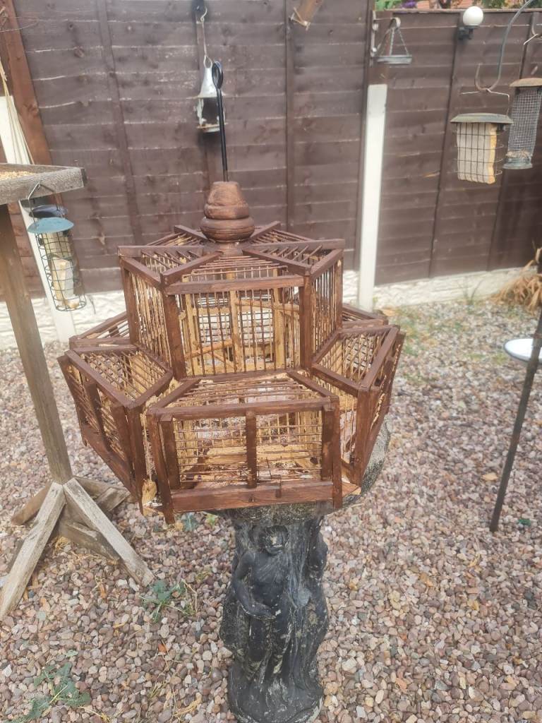 Good bird cage got 6 traps 