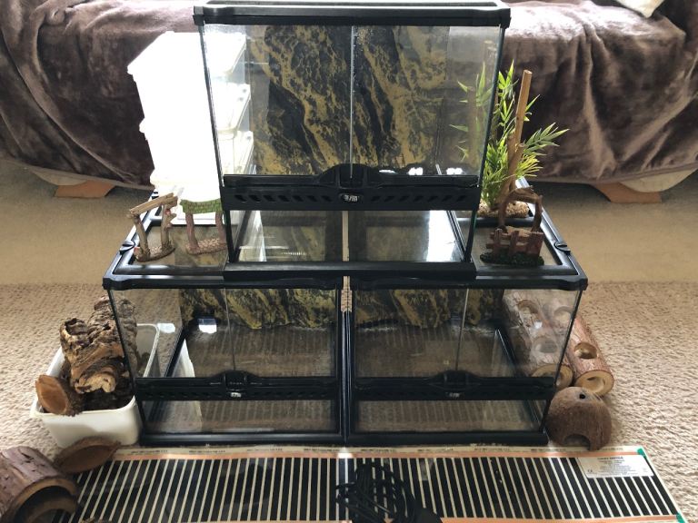 3 exo terra terrariums with heat mats, thermostat , cork bark/decor 