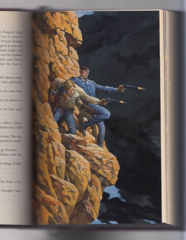 Two Stephen King Books. Wolves of the Calla, Rose Madder.