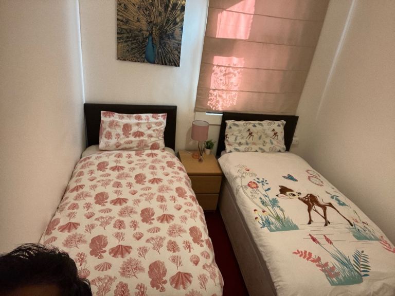 Cleaner for Airbnb and domestic 