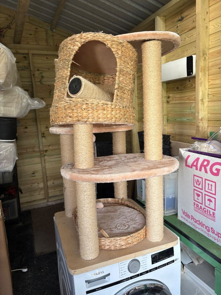 Cat Climber