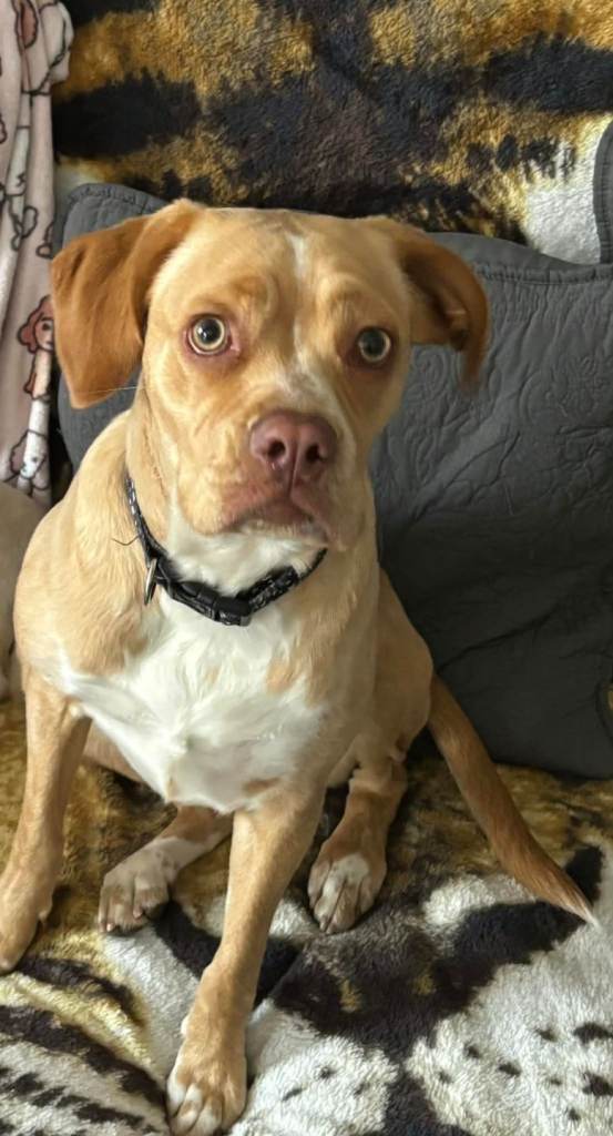 For loving home only