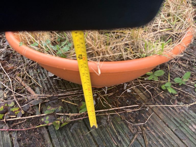 Large plastic plant pot