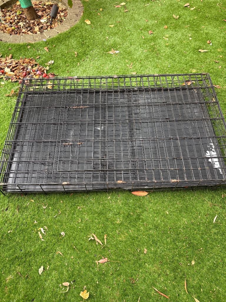 Large metal frame dog crate. 