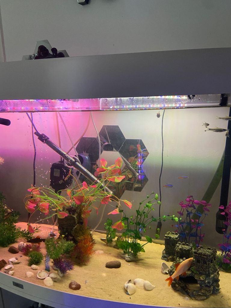 Jewel 300 ltr Fish Tank