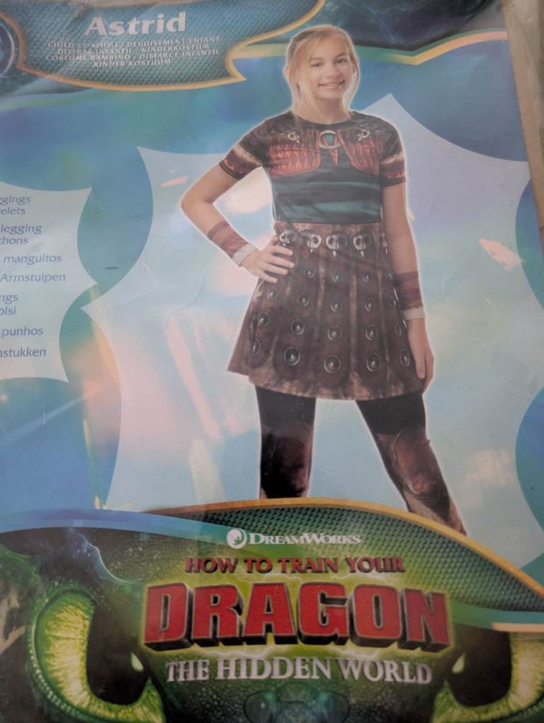 DreamWorks How to Train Your Dragon Astrid Fancy Dress Costume