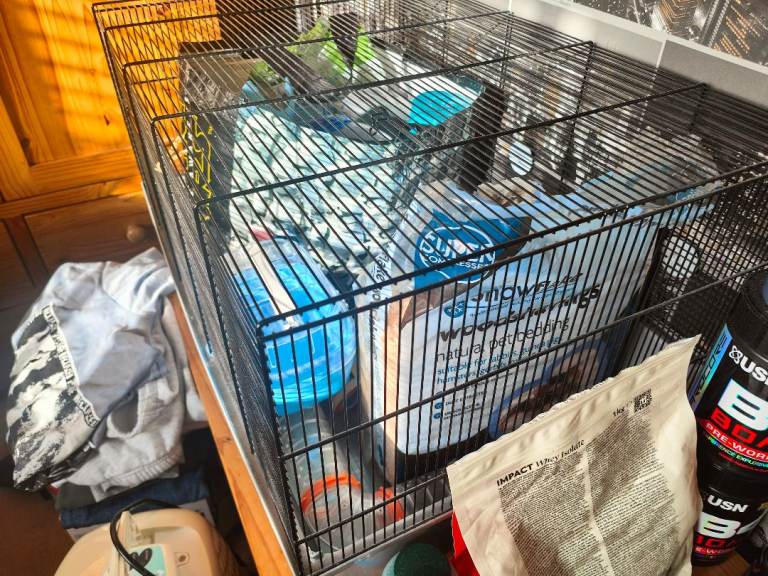 Complete hamster set up